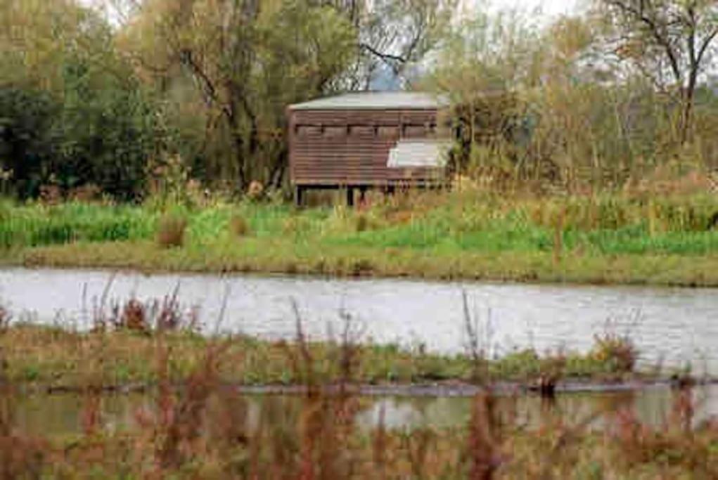 Willa The Loft At The Croft - Stunning Rural Retreat Perfect For Couples & Dogs Leigh  Zewnętrze zdjęcie